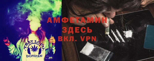 ПСИЛОЦИБИНОВЫЕ ГРИБЫ Арсеньев