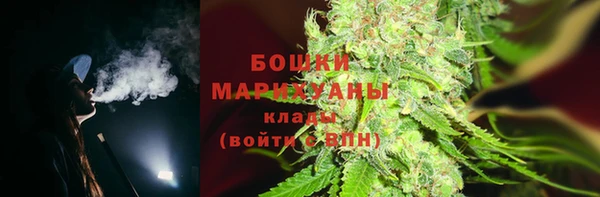 ПСИЛОЦИБИНОВЫЕ ГРИБЫ Арсеньев