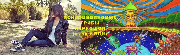 не бодяженный Аркадак