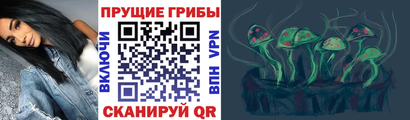 Псилоцибиновые грибы мухоморы  OMG онион  Камешково  купить  